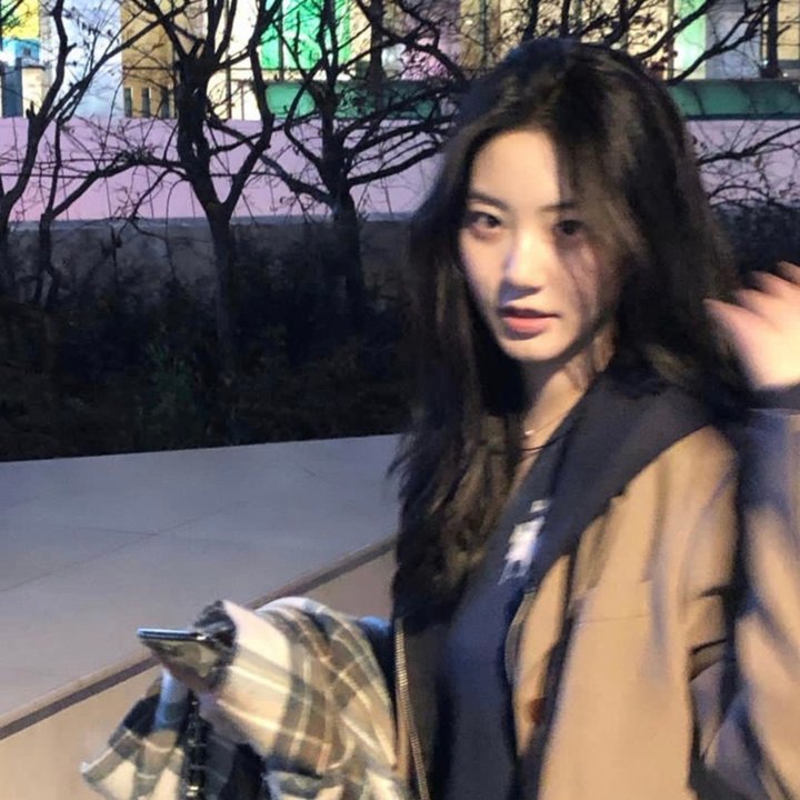 如何与我的猫分手